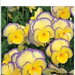 Meet your Posher, Charlene